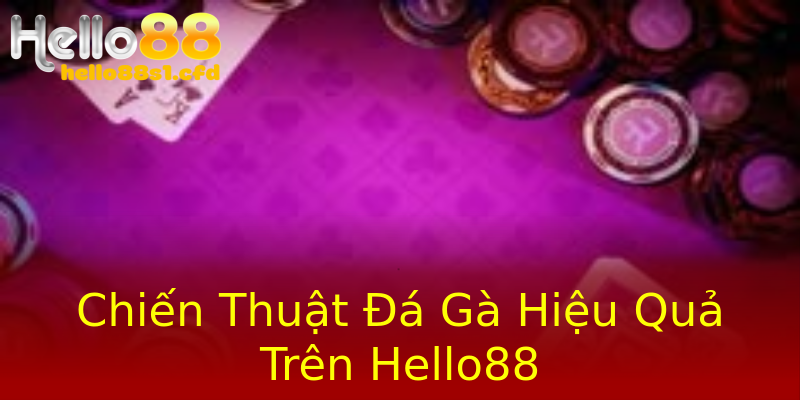 Chiến Thuật Đá Gà Hiệu Quả Trên Hello88 Chiến Thuật Đá Gà Hiệu Quả Trên Hello88