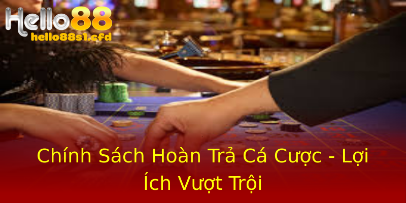 Chính Sách Hoàn Trả Cá Cược - Lợi Ích Vượt Trội Chính Sách Hoàn Trả Cá Cược - Lợi Ích Vượt Trội