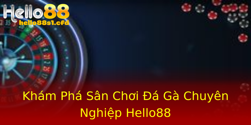 Khám Phá Sân Chơi Đá Gà Chuyên Nghiệp Hello88 Khám Phá Sân Chơi Đá Gà Chuyên Nghiệp Hello88
