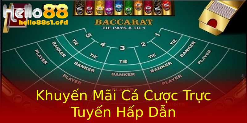 Khuyến Mãi Cá Cược Trực Tuyến Hấp Dẫn Khuyến Mãi Cá Cược Trực Tuyến Hấp Dẫn
