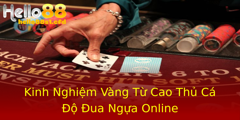 Kinh Nghiệm Vàng Từ Cao Thủ Cá Độ Đua Ngựa Online Kinh Nghiệm Vàng Từ Cao Thủ Cá Độ Đua Ngựa Online